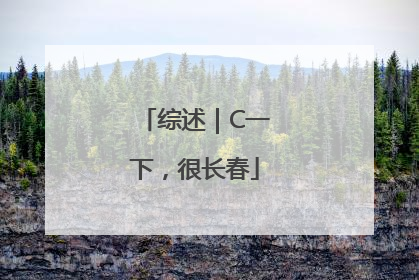 综述｜C一下，很长春