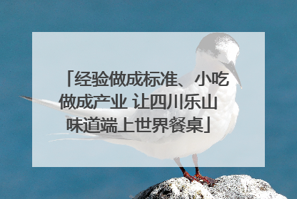 经验做成标准、小吃做成产业 让四川乐山味道端上世界餐桌