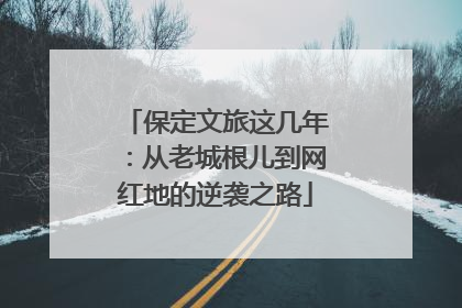 保定文旅这几年：从老城根儿到网红地的逆袭之路