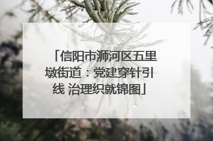 信阳市浉河区五里墩街道：党建穿针引线 治理织就锦图