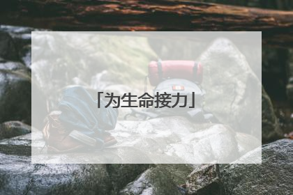 为生命接力