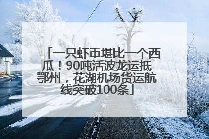 一只虾重堪比一个西瓜！90吨活波龙运抵鄂州，花湖机场货运航线突破100条