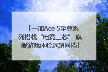 一加Ace 5至尊系列搭载“电竞三芯” 旗舰游戏体验远超同档