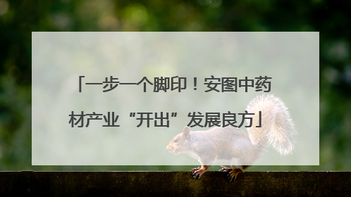 一步一个脚印！安图中药材产业“开出”发展良方