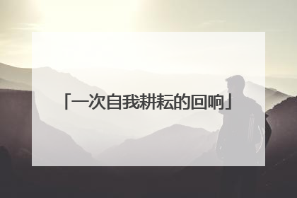 一次自我耕耘的回响
