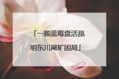 一颗蓝莓盘活昆明东川尾矿困局