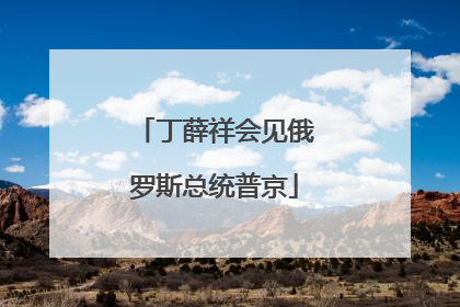 丁薛祥会见俄罗斯总统普京