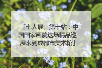 七人展、第十站：中国国家画院这场精品巡展来到成都市美术馆