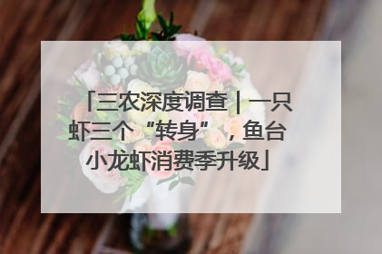 三农深度调查｜一只虾三个“转身”，鱼台小龙虾消费季升级