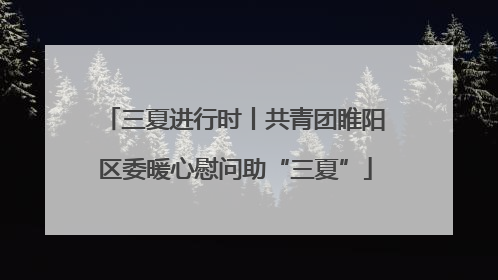 三夏进行时丨共青团睢阳区委暖心慰问助“三夏”