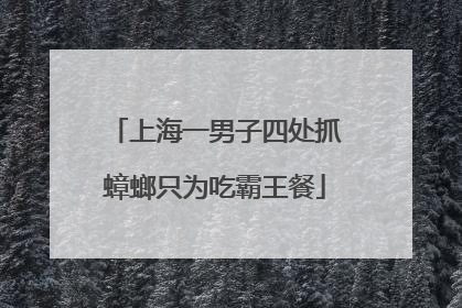 上海一男子四处抓蟑螂只为吃霸王餐