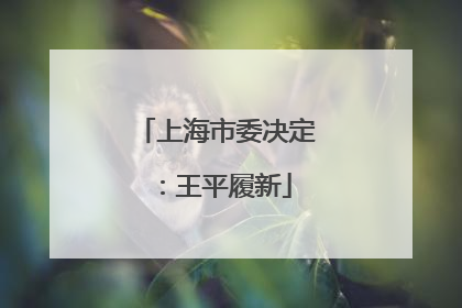 上海市委决定：王平履新