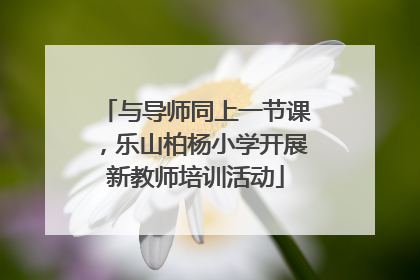 与导师同上一节课，乐山柏杨小学开展新教师培训活动