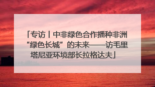 专访丨中非绿色合作播种非洲“绿色长城”的未来——访毛里塔尼亚环境部长拉格达夫