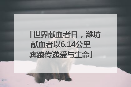 世界献血者日，潍坊献血者以6.14公里奔跑传递爱与生命