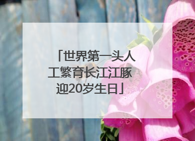 世界第一头人工繁育长江江豚迎20岁生日