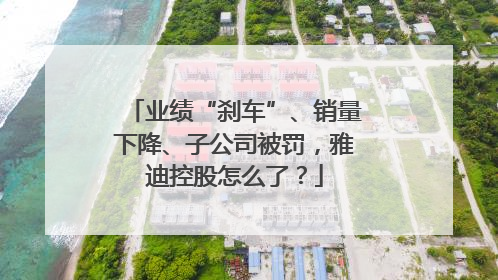 业绩“刹车”、销量下降、子公司被罚，雅迪控股怎么了？