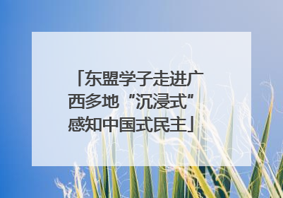 东盟学子走进广西多地“沉浸式”感知中国式民主