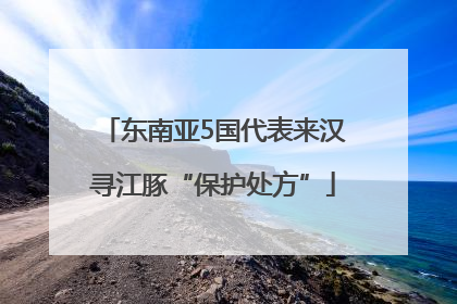 东南亚5国代表来汉寻江豚“保护处方”