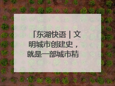东湖快语｜文明城市创建史，就是一部城市精神成长史