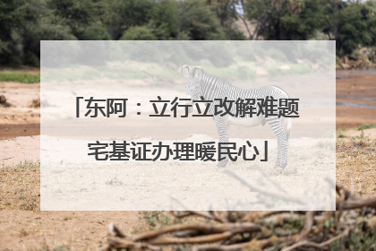 东阿：立行立改解难题 宅基证办理暖民心