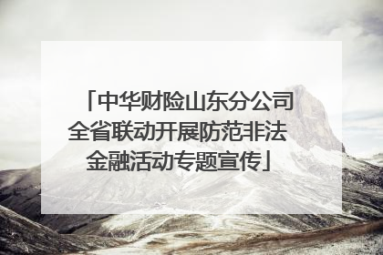 中华财险山东分公司全省联动开展防范非法金融活动专题宣传