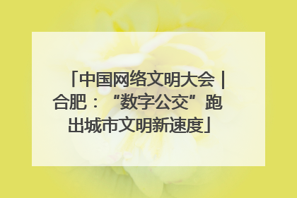 中国网络文明大会｜合肥：“数字公交”跑出城市文明新速度