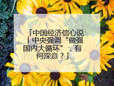 中国经济信心说丨中央强调“做强国内大循环”，有何深意？