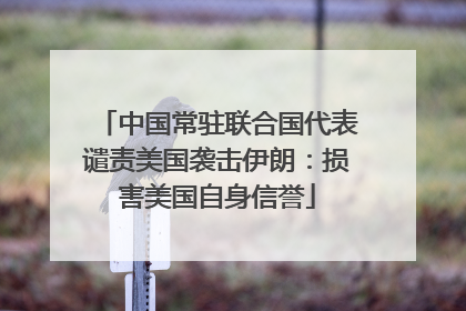 中国常驻联合国代表谴责美国袭击伊朗：损害美国自身信誉