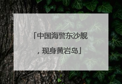 中国海警东沙舰，现身黄岩岛