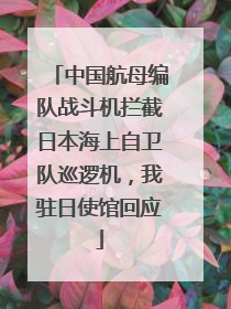 中国航母编队战斗机拦截日本海上自卫队巡逻机，我驻日使馆回应