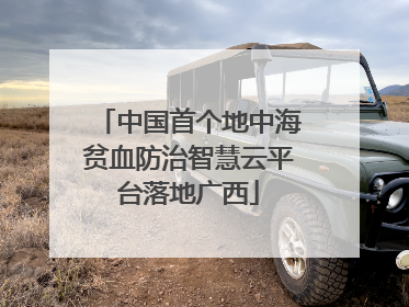 中国首个地中海贫血防治智慧云平台落地广西