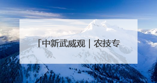 中新武威观｜农技专家田间地头“把脉开方”送“及时雨”