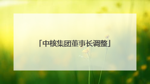 中核集团董事长调整