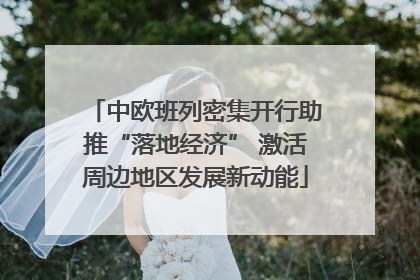 中欧班列密集开行助推“落地经济” 激活周边地区发展新动能