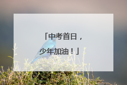 中考首日，少年加油！
