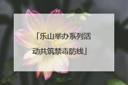 乐山举办系列活动共筑禁毒防线