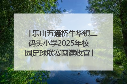 乐山五通桥牛华镇二码头小学2025年校园足球联赛圆满收官