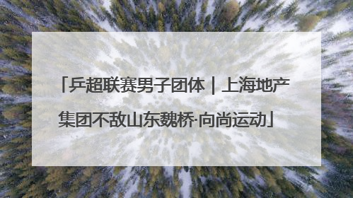 乒超联赛男子团体｜上海地产集团不敌山东魏桥·向尚运动