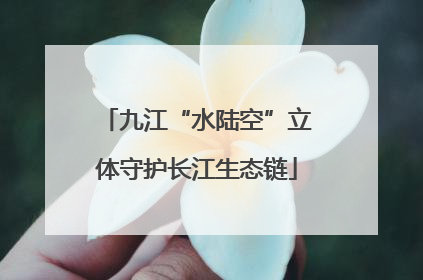 九江“水陆空”立体守护长江生态链