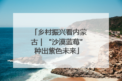乡村振兴看内蒙古｜“沙漠蓝莓”种出紫色未来