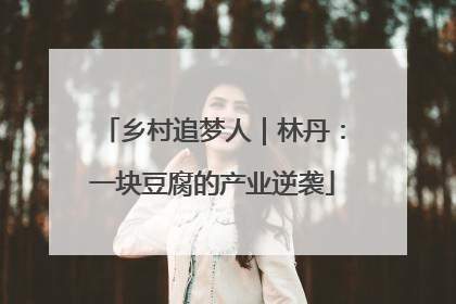 乡村追梦人｜林丹：一块豆腐的产业逆袭