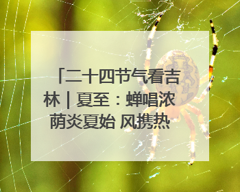二十四节气看吉林｜夏至：蝉唱浓荫炎夏始 风携热浪白昼长
