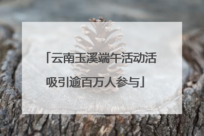 云南玉溪端午活动活吸引逾百万人参与