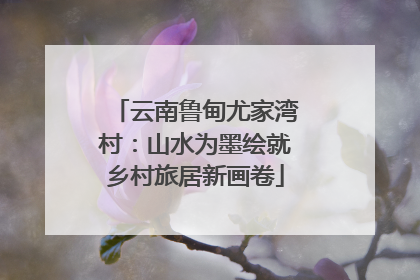 云南鲁甸尤家湾村：山水为墨绘就乡村旅居新画卷