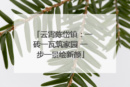 云霄陈岱镇：一砖一瓦筑家园 一步一景绘新颜