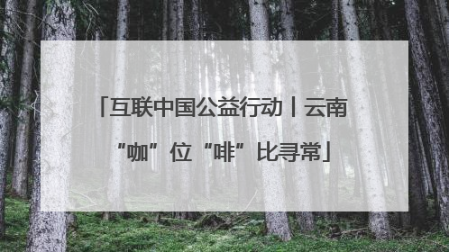 互联中国公益行动丨云南“咖”位“啡”比寻常