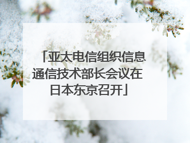 亚太电信组织信息通信技术部长会议在日本东京召开