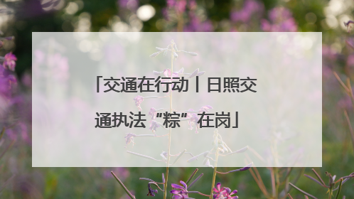 交通在行动丨日照交通执法“粽”在岗