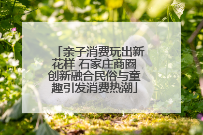 亲子消费玩出新花样 石家庄商圈创新融合民俗与童趣引发消费热潮